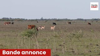 Argentine le grand gibier du Parana  bande annonce  Seasons [upl. by Notlrak]