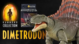 DIMETRODON REVEALED Jurassic World Hammond Collection Mattel Premium Figure  collectjurassiccom [upl. by Enirehs]