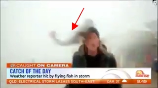 Weather Reporter Hit by Flying Fish in Storm Doris [upl. by Donna]