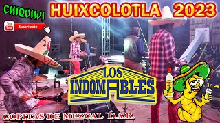 Los Indomables en Vivo 2023  Copitas de Mezcal DAR [upl. by Garlan]