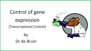 611 Chapter 19  Control of gene expression  Transcriptional control [upl. by Alvis375]