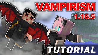 Vampirism mod How to become a vampire lord Tutorial  Guide 1165 minecraft java edition [upl. by Anastas661]