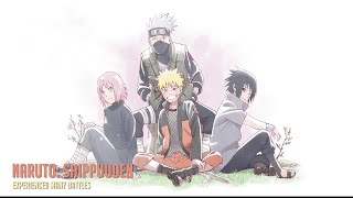 Naruto Shippuden OST I  Experienced Many Battles [upl. by Ingold42]