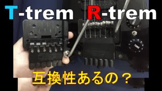 Steinberger Ttrem＆Rtrem 「互換性はあるのか」”Is it compatible” [upl. by Olen]