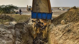 सांभर झील Sambhar Salt Lake राजस्थान।आखिर क्‍या है हजारों प्रवासी पक्षियों की रहस्‍यमय मौत की वजह। [upl. by Homerus]