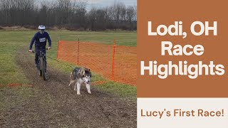 Trailbreakers Lodi OH Dryland Challenge Malamute Race Highlights 2020 [upl. by Haliek684]