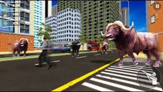 Angry Buffalo Simulation GamesBull Vs Man Fighting [upl. by Esilehc531]