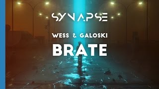 Wess amp Galoski  Brate Free [upl. by Irik]