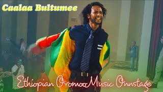 Caalaa bultumee Ethiopian oromo music sirna eebba filmii sibirii irratti JHB Mayfair [upl. by Hegarty]