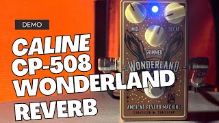 Caline CP508 Wonderland Reverb pedal [upl. by Llereg]