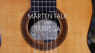 Mårten Falk  A Francisco Tárrega Recital [upl. by Jezebel]