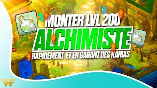 DOFUS MONTER ALCHIMISTE LVL 200 RAPIDEMENT ET EN GAGNANT DES KAMAS [upl. by Othilie]