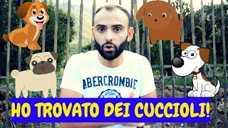 HO TROVATO DEI CUCCIOLI ABBANDONATI [upl. by Adaiha]