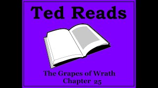 The Grapes of Wrath John Steinbeck Chapter 25 [upl. by Dewain]