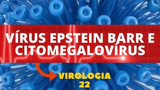 VÍRUS EPSTEIN BARR E CITOMEGALOVÍRUS  VIROLOGIA  AULA 22 [upl. by Suirad]