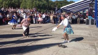 Cueca campesina en Ninhue fiesta de la vendimia [upl. by Nodarb]