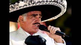 Vicente Fernández  Mi Ranchito Cover Audio [upl. by Nanerb610]