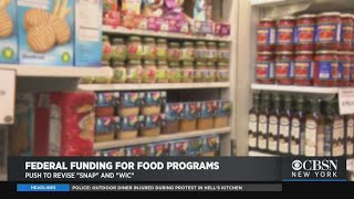 New York Senator Pushes To Revise SNAP WIC [upl. by Ravahs]