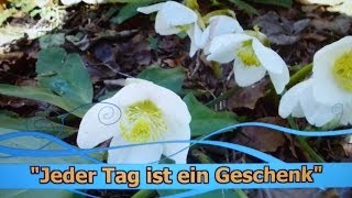 Jeder Tag ist ein Geschenk [upl. by Omle]