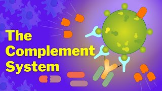 The Complement System is SO EASY Stop Making it Hard [upl. by Nnylaehs]