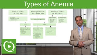 Anemia Microcytic Normocytic amp Macrocytic Type – Hematology  Lecturio [upl. by Meekahs]