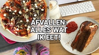 What I Eat In a Day  Afvallen met 1800 calorieën  Havermout  Tosti amp Pizza [upl. by Rayshell995]