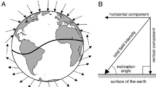 49 Horizontal component of earths magnetic field and angle of dip [upl. by Estus179]