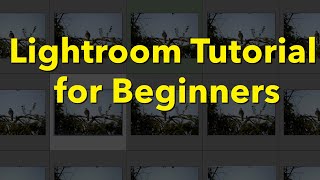 Lightroom Classic Tutorial for Beginners [upl. by Enitnemelc]