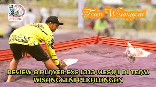 REVIEW 8 PLAYER EXS 1313 MESUJI DI TEAM WISANGGENI PEKALONGAN [upl. by Syck]