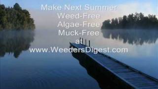 Lake Weed Control and Milfoil Hydrilla Pond Weed aquatic weed cutter amp groomer [upl. by Oicafinob]