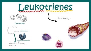 Leukotrienes  structure  function and association with disease [upl. by Nedarb724]