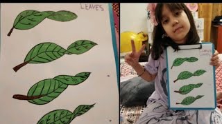 curved leaves  art activity  new drawing AyeshaSiddiqa0417 [upl. by Mutat]