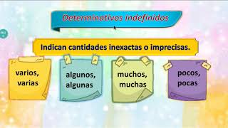 Adjetivos numerales e indefinidos  Primaria [upl. by Stonwin]