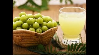 HOW TO MAKE AMLA JUICE AT HOME  HOW TO DRINK AMLA JUICE  AMLOKIR JUICE IN BENGALI  আমলকির রস [upl. by Seppala]