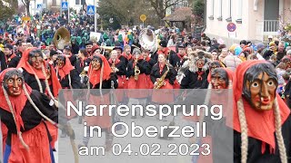 Highlights vom Narrensprung in Oberzell am 04022023 [upl. by Teodora]