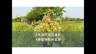 【海媽園藝課堂12】0失誤打造花瀑布，4種植物幫你實現  4 Plants to Help Forming A Plant Combination Like Waterfall [upl. by Akim]