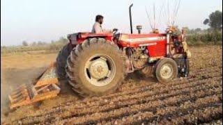 385 tractor pakistan punjab  mf 385 tractor performance  ibrahimtractorvlogs [upl. by Nalyr]