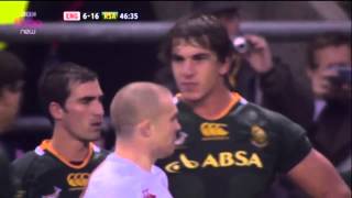 South africa rugby etzebeth fight [upl. by Eseuqcaj]