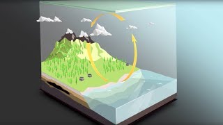 The carbon cycle [upl. by Leva]