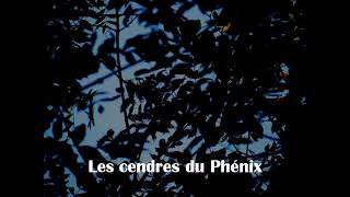 Landry  Les cendres du phénix [upl. by Otir]