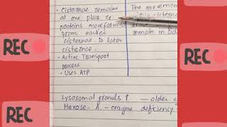 Vesicular transport VS Cisternal maturation model [upl. by Safko]