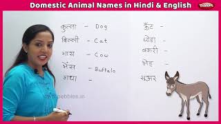 Domestic Animal Names in Hindi and English  Learn English in Hindi  Farm Animals For Kids [upl. by Nosral]