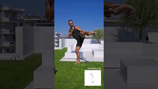 40 Side Kicks  Exercise of the Day [upl. by Hermie930]