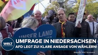 NIEDERSACHSEN Umfrage vor Landtagswahl AfD legt zu  klare Ansage von Wählern [upl. by Devlin49]