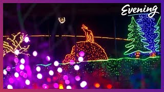 Zoolights celebrates 35 years of brightening the holidays in Tacoma [upl. by Ilram352]