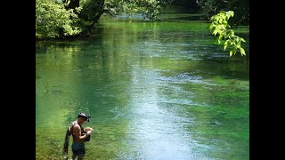 Au fil de la Sorgue en nymphe à vue [upl. by Euqnom824]