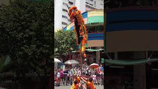 Nam Sieng at Chinatown Five Footway Festival 南仙在五脚基节表演 17 Mar 2024 shorts liondance [upl. by Cyd]