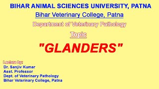 quotGLANDERSquot by Dr Sanjiv Kumar Assistant Professor Department of Veterinary Pathology BVC Patna [upl. by Akinas]