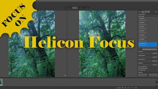 Helicon Focus Stacking Workflow with Exposure Blending  Focus On Series [upl. by Eirrehs882]