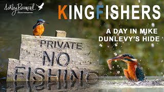 Photographing Kingfishers  Mike Dunlevy Hide [upl. by Airolg]